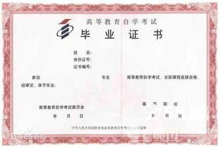 自考本科和函授本科的含金量高