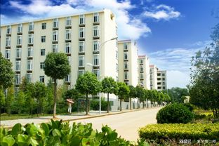 深圳全日制自考本科院校