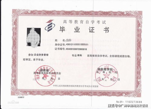 本科大自考科目