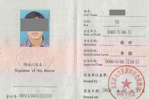 自考本科可報(bào)考中級(jí)會(huì)計(jì)嗎