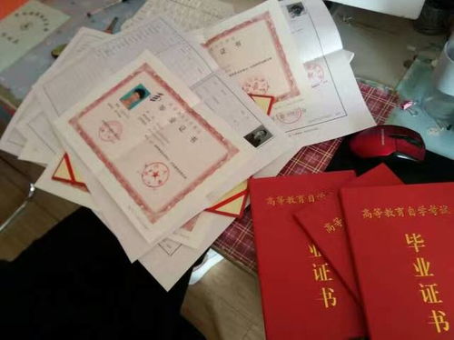在校本科大學(xué)生自考本科