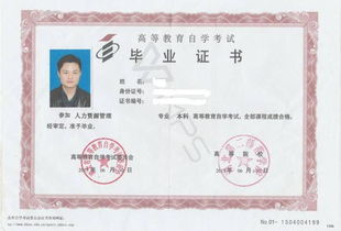 自考本科助學(xué)班好還是復(fù)讀好