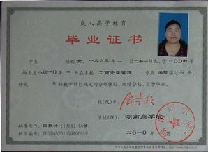 自考本科和三本都不差