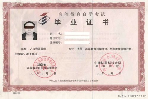 函授本科和自考本科證書(shū)區(qū)別