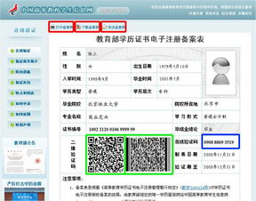 自考本科在線驗(yàn)證報(bào)告怎么查