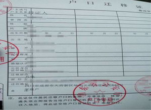 成都市自考本科落戶