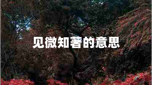 見微知著的意思