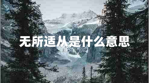 無所適從是什么意思