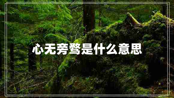 心無(wú)旁騖是什么意思