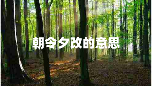 朝令夕改的意思