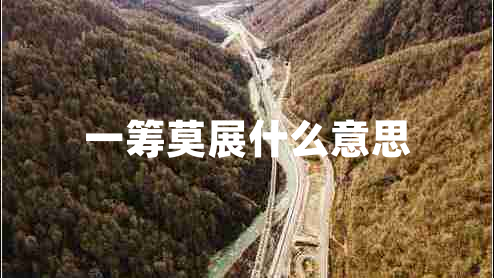 一籌莫展什么意思