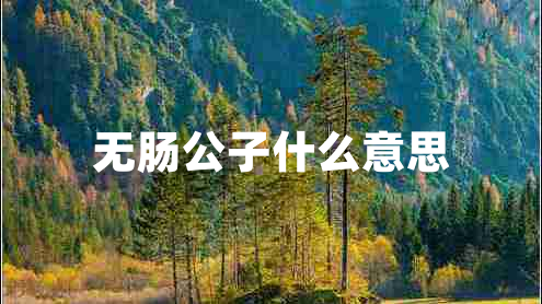 無腸公子什么意思