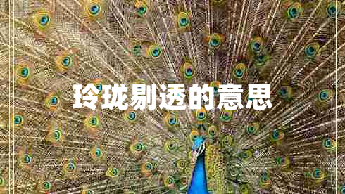 玲瓏剔透的意思