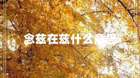 念茲在茲什么意思