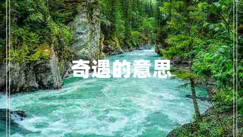 奇遇的意思