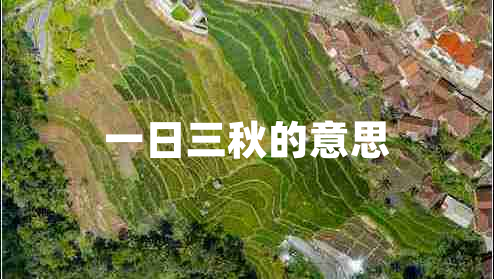 一日三秋的意思