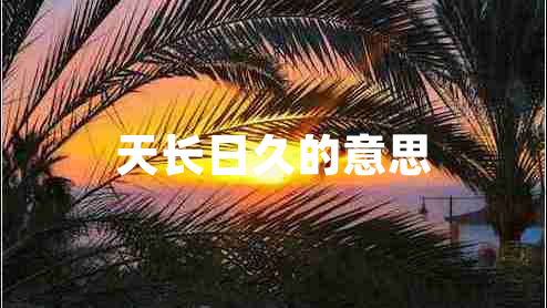 天長日久的意思