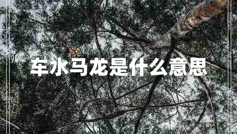 車(chē)水馬龍是什么意思