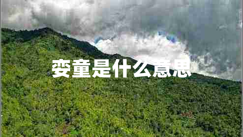 孌童是什么意思