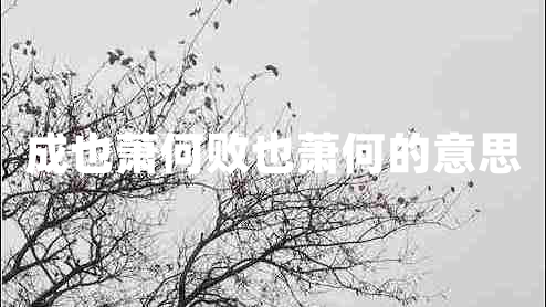 成也蕭何敗也蕭何的意思