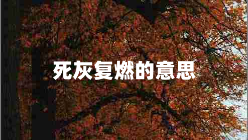 死灰復(fù)燃的意思