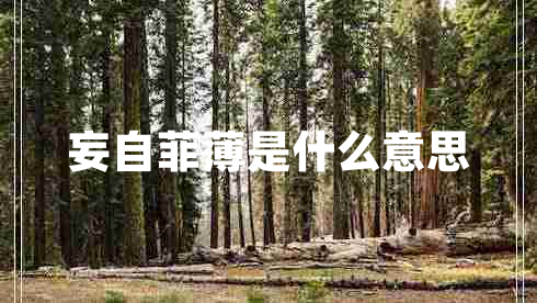 妄自菲薄是什么意思