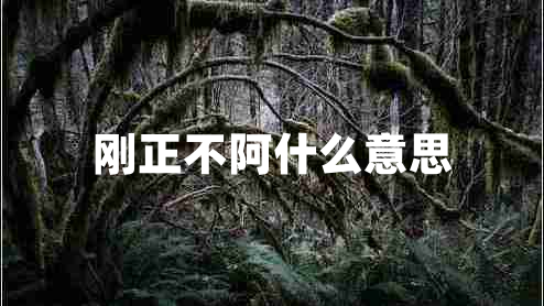 剛正不阿什么意思