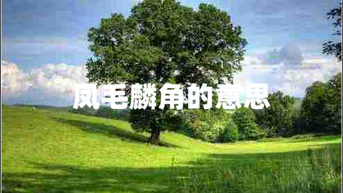 鳳毛麟角的意思