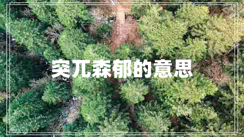 突兀森郁的意思