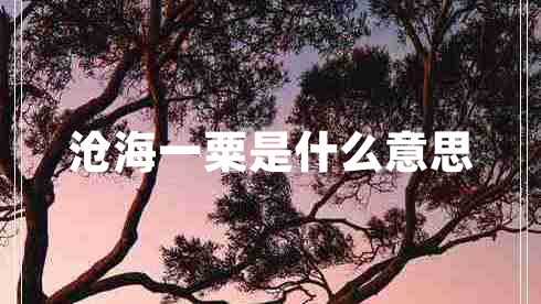 滄海一粟是什么意思