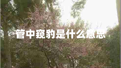 管中窺豹是什么意思