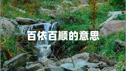 百依百順的意思