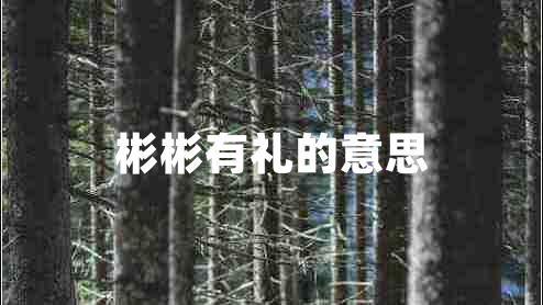 彬彬有禮的意思