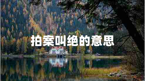 拍案叫絕的意思