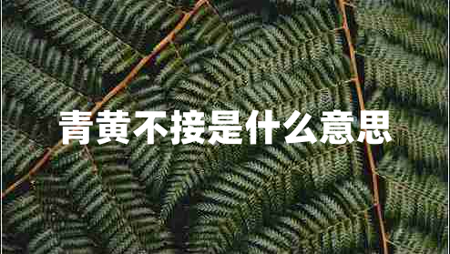 青黃不接是什么意思