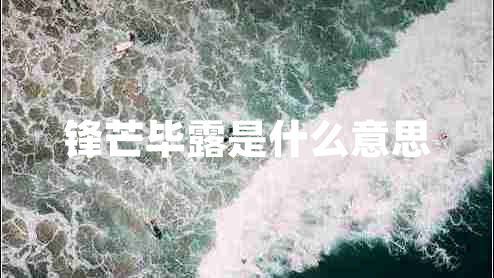 鋒芒畢露是什么意思