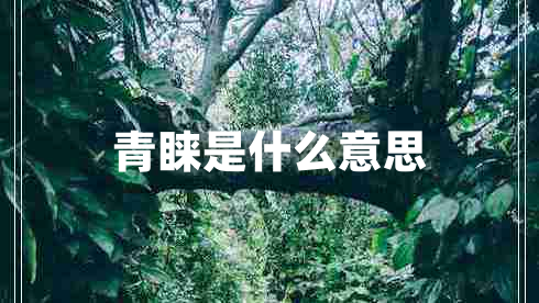 青睞是什么意思