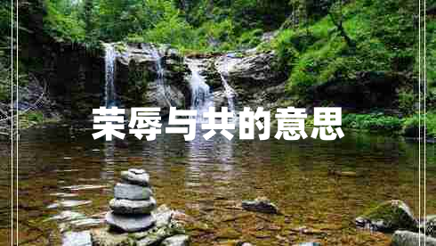 榮辱與共的意思