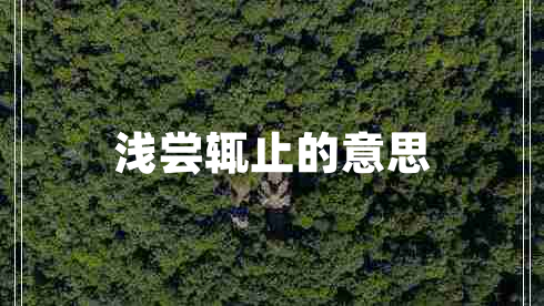 淺嘗輒止的意思