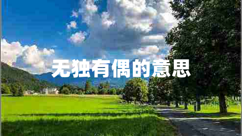 無獨有偶的意思