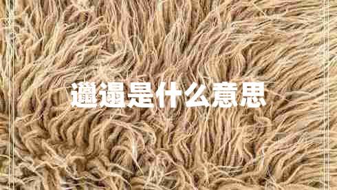 邋遢是什么意思