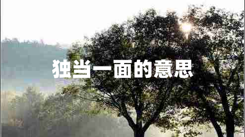 獨(dú)當(dāng)一面的意思