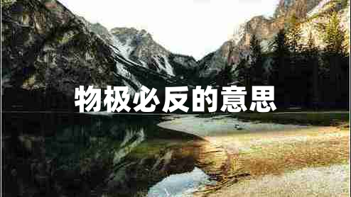 物極必反的意思