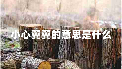 小心翼翼的意思是什么