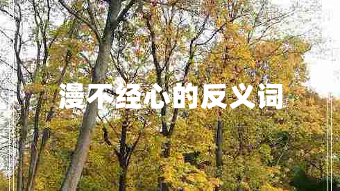 漫不經心的反義詞