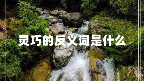 靈巧的反義詞是什么