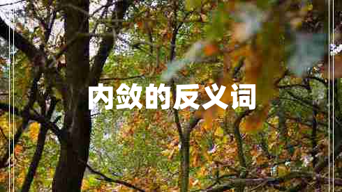 內(nèi)斂的反義詞