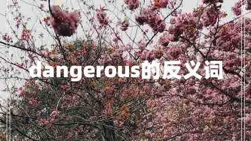 dangerous的反義詞