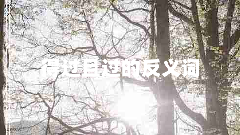 得過且過的反義詞