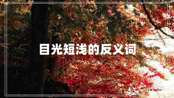 目光短淺的反義詞 目光短淺的反義詞